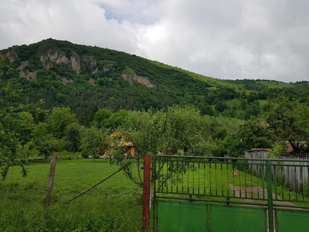 Мечтаната селска къща на реката със семейство и приятели! Рибарица Екстериор снимка